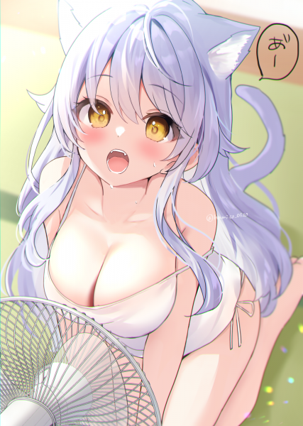 二次元插画鉴赏时刻